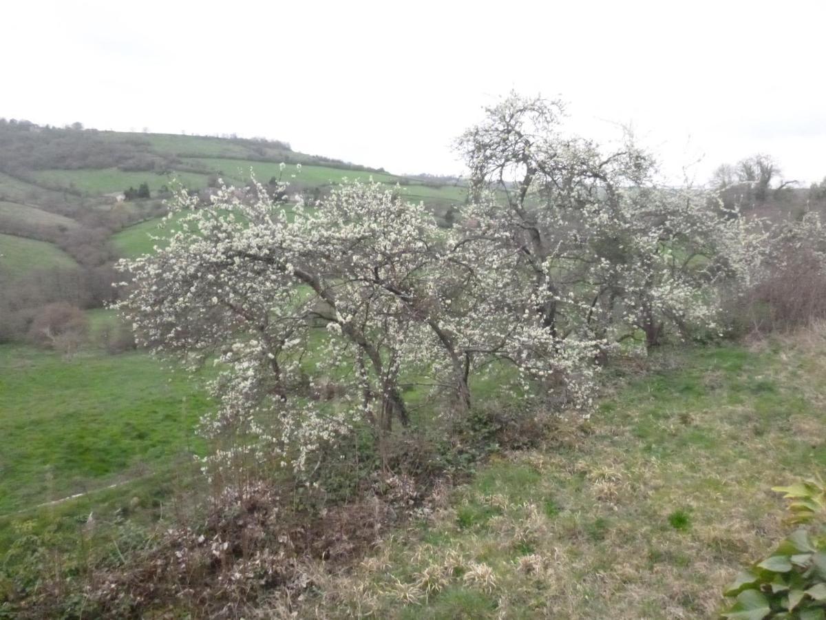 La Maison Des Fleurs Montembœuf Zewnętrze zdjęcie