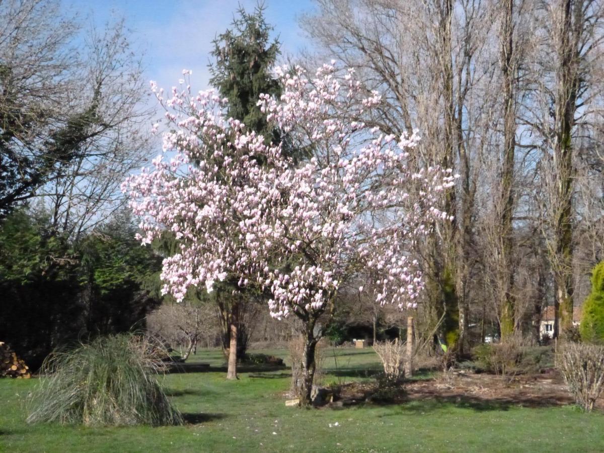 La Maison Des Fleurs Montembœuf Zewnętrze zdjęcie
